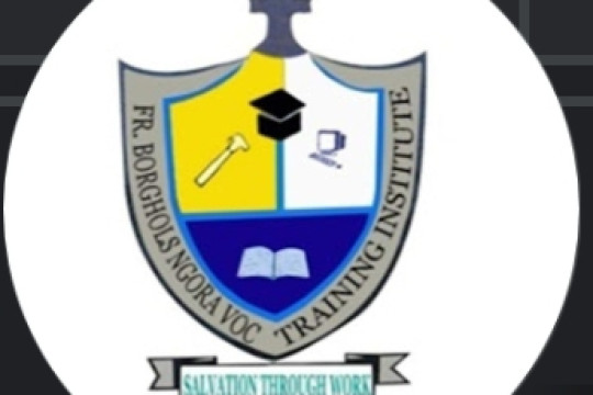 Fr.Borghols Vocational Training Institute-Ngora